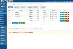 价值6000元的万能站群蜘蛛池免授权无限制版