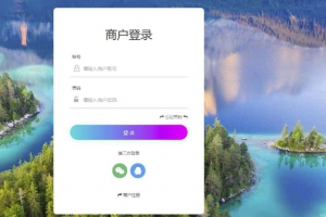 码支付商业版代码_在线支付系统_码支付即时到账php源码