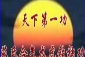 苑氏合气龙虎壮阳铁裆功