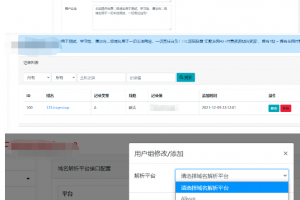 二级域名分发系统源码