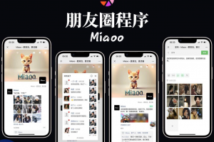 社交分享平台Miaoo朋友圈小程序全开源版源码多媒体支持