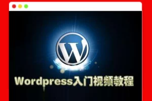 WordPress快速入门视频教程运行环境教程基础技能知识