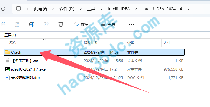 IntelliJ IDEA中文破解版