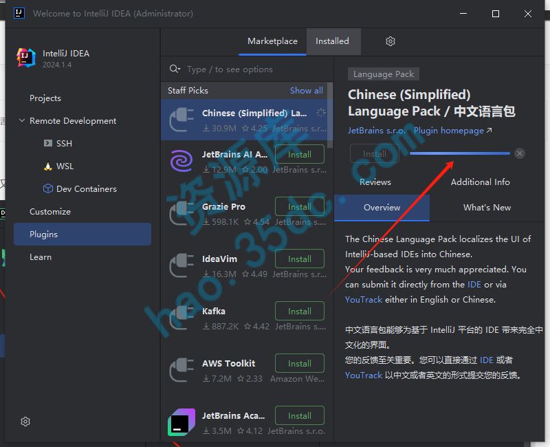 IntelliJ IDEA中文破解版