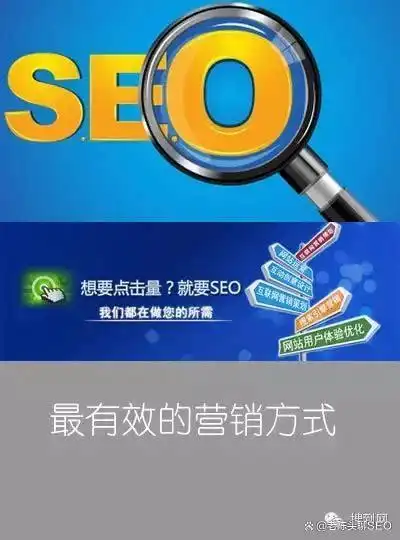 自学seo之路