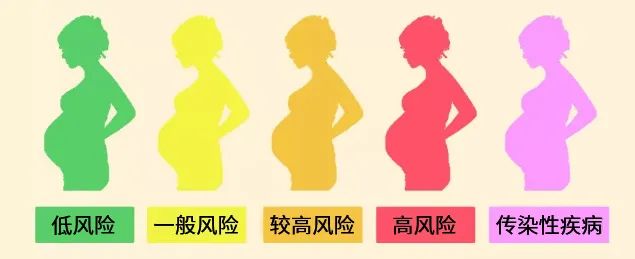 整个孕期的产检流程