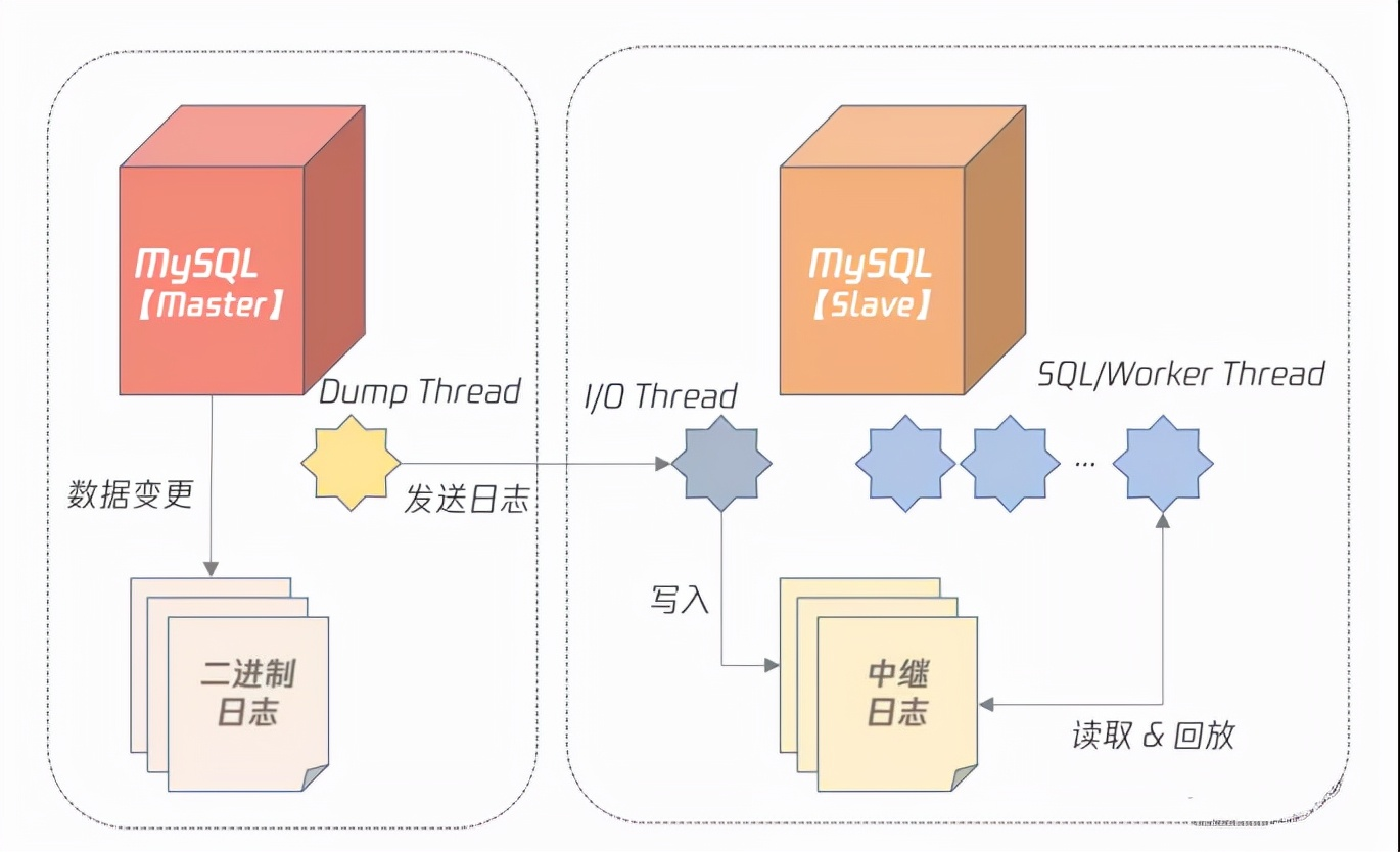 mysql数据库结构