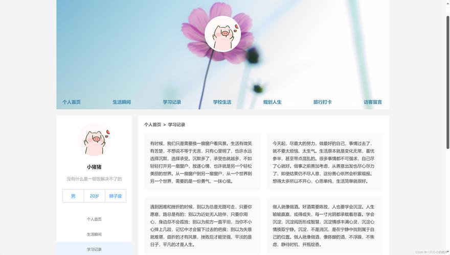 在线seo外链推广