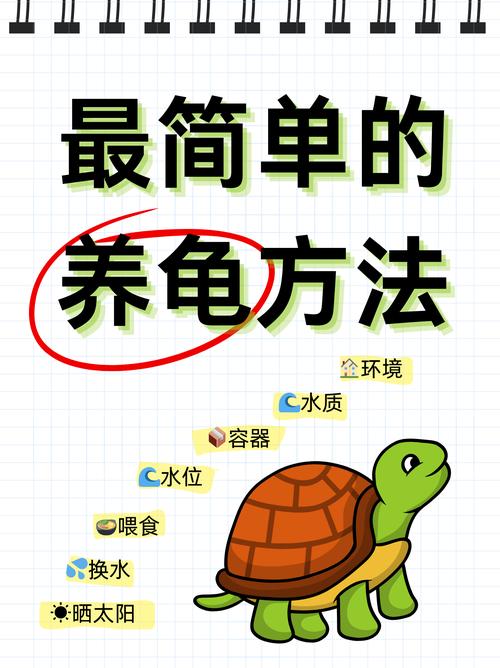 乌龟的养殖方法