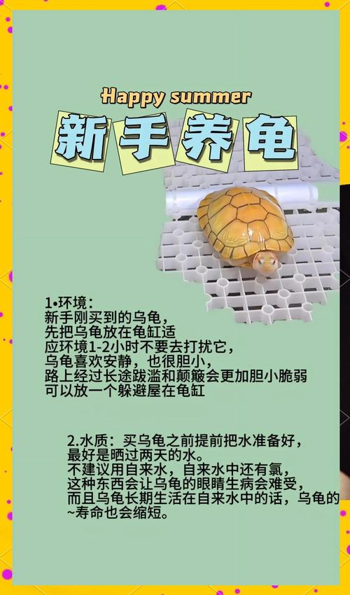 乌龟的养殖方法