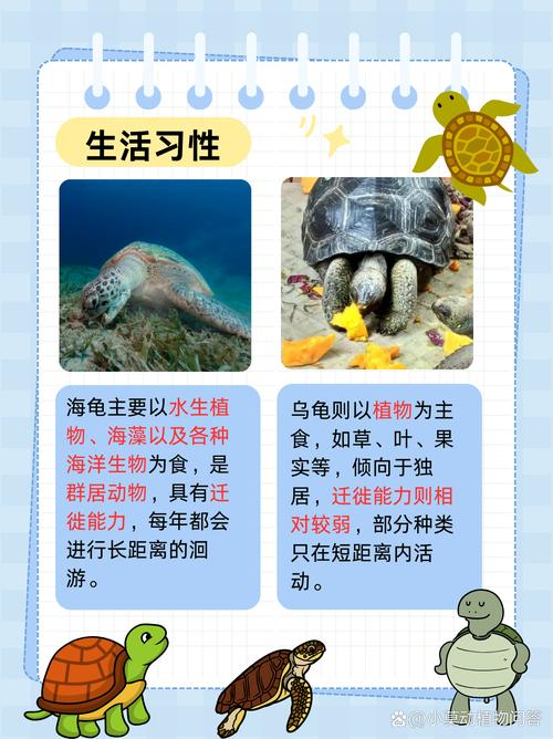 乌龟的养殖方法