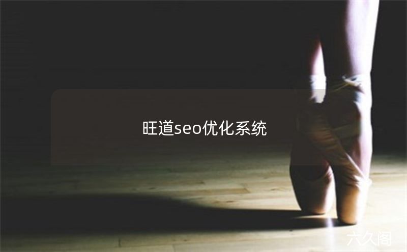 旺道seo工具