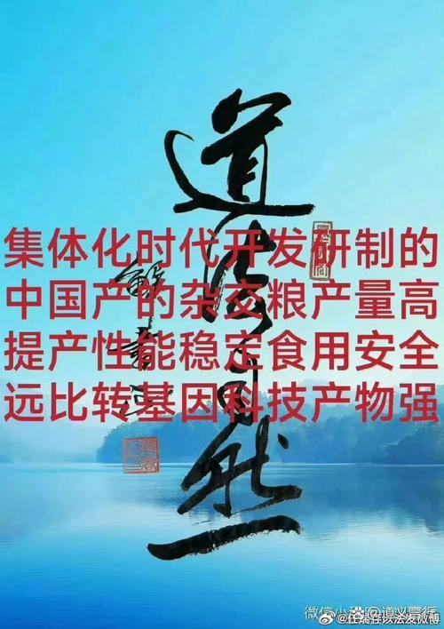 禁止传销条例最新法