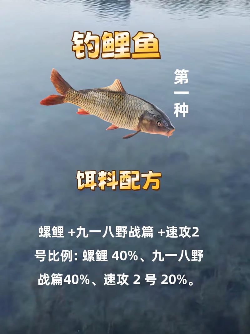 鱼塘钓鱼鲤鱼配饵技巧