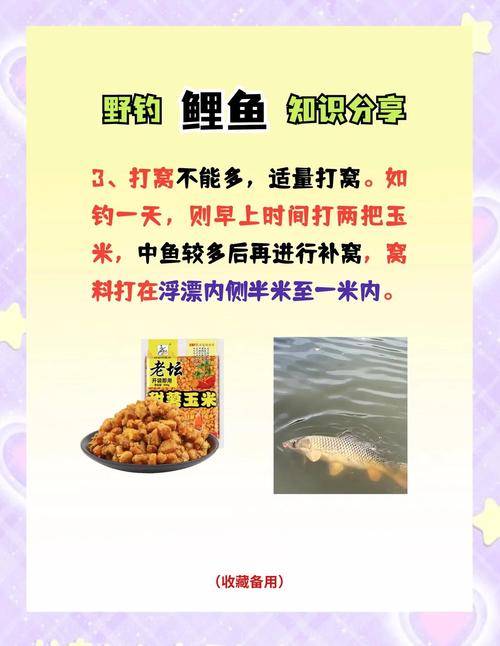 鱼塘钓鱼鲤鱼配饵技巧