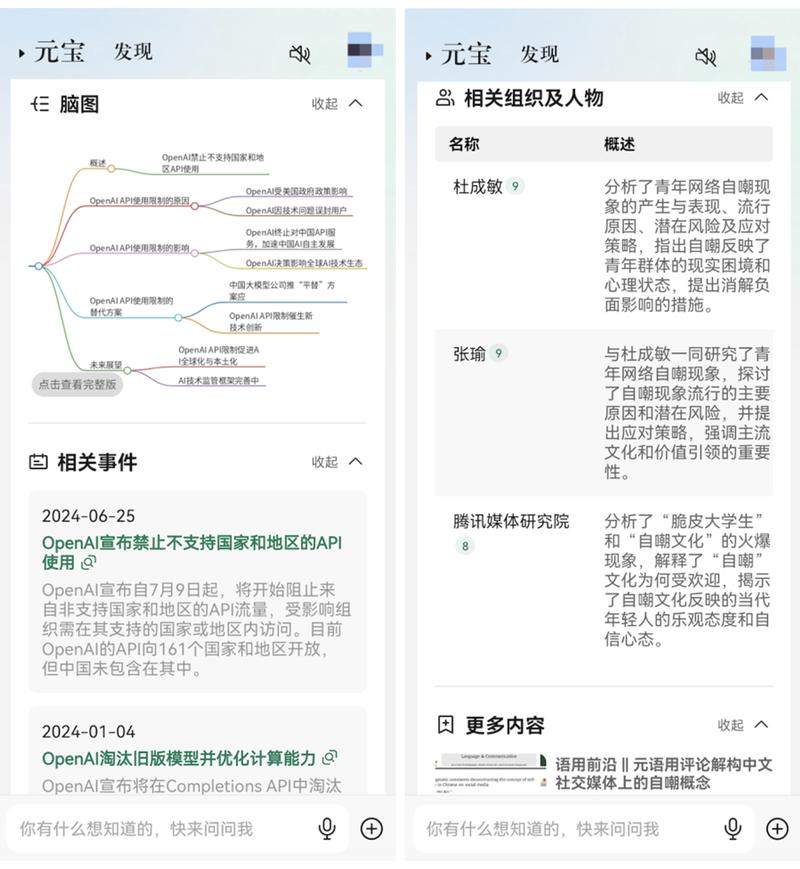 搜索引擎优化(seo)方法与技巧(第5版)