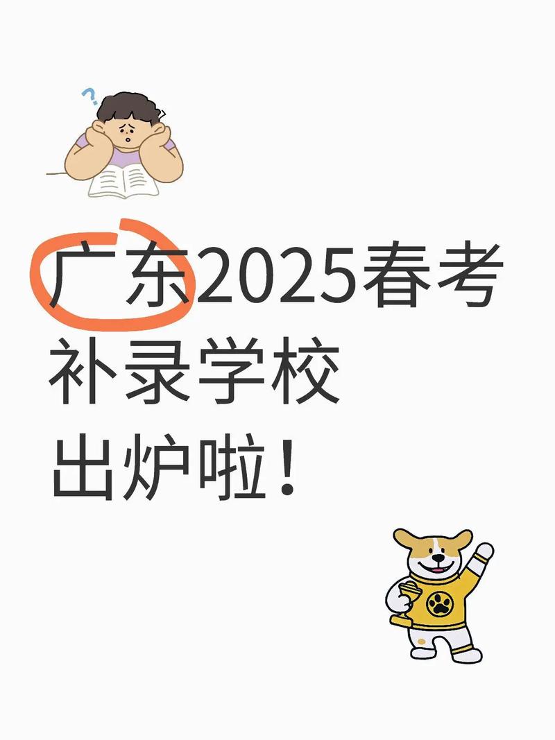 2025广东高考补录流程