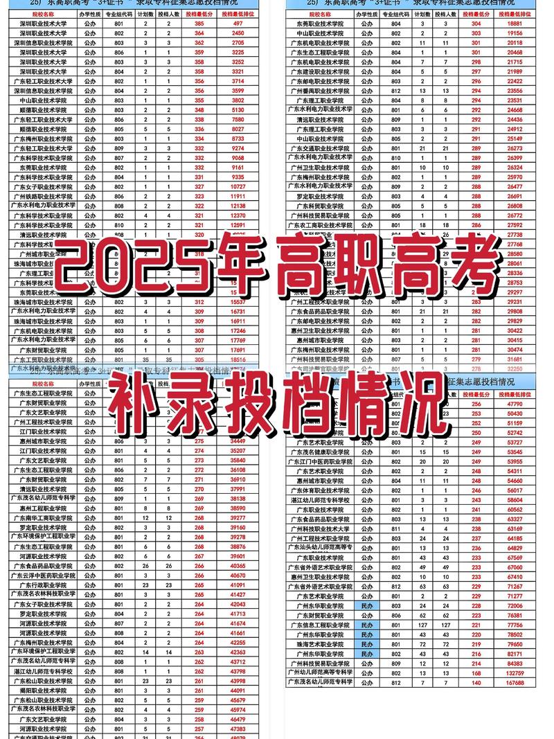 2025广东高考补录流程