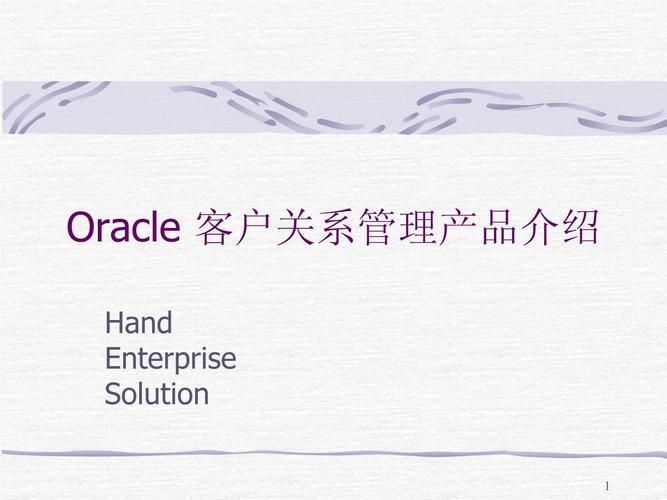 oracle客户关系管理