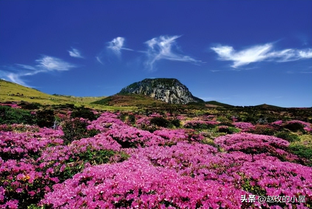 济州岛旅游攻略4天