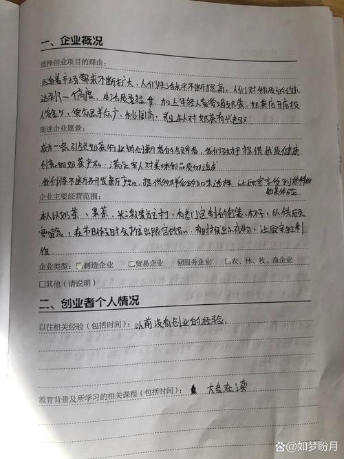 创业计划