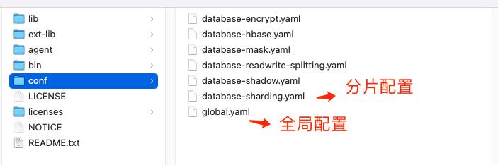 navicat for postgresql mac