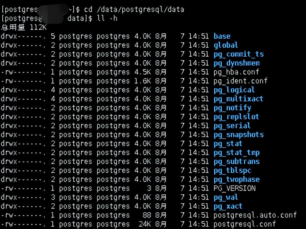 navicat for postgresql mac