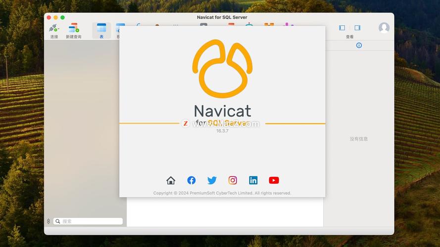 navicat for postgresql mac