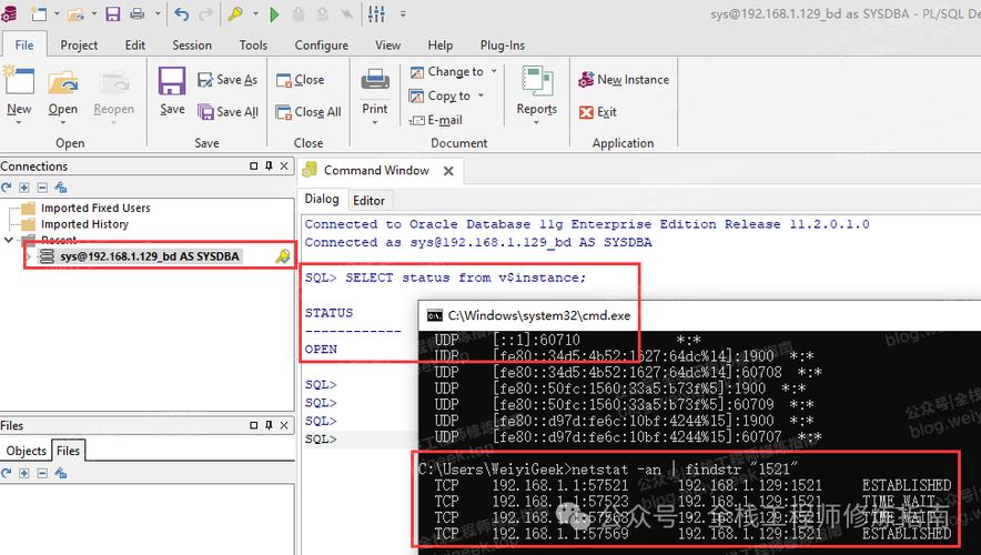 oracle g11下载