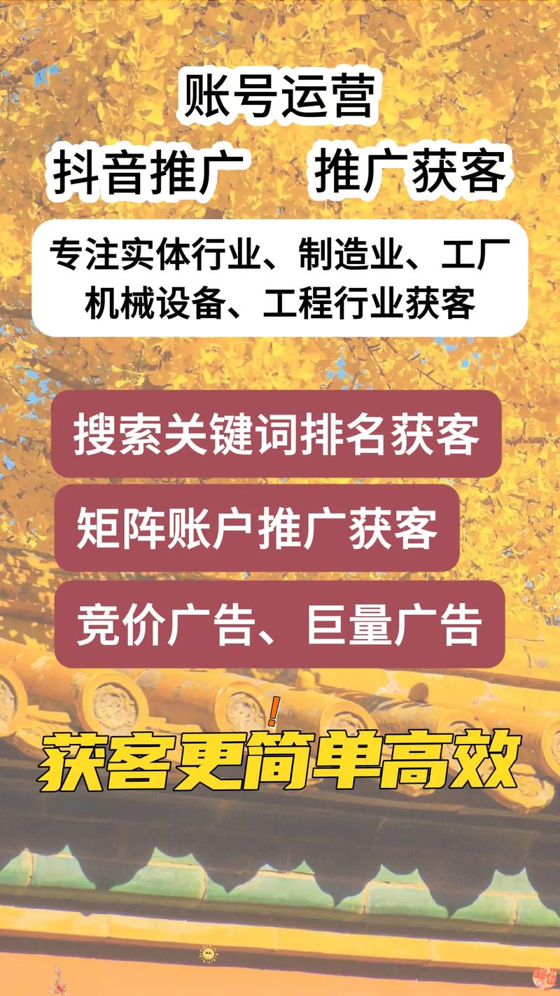 金华seo优化