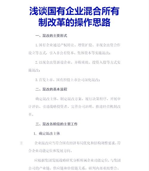 国有企业改制流程纵览.doc