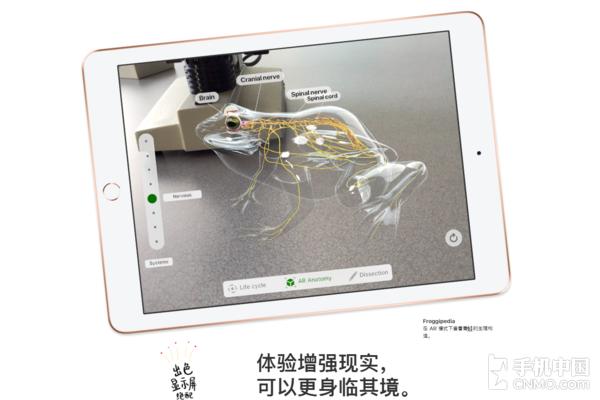 新款ipad屏幕怎么样