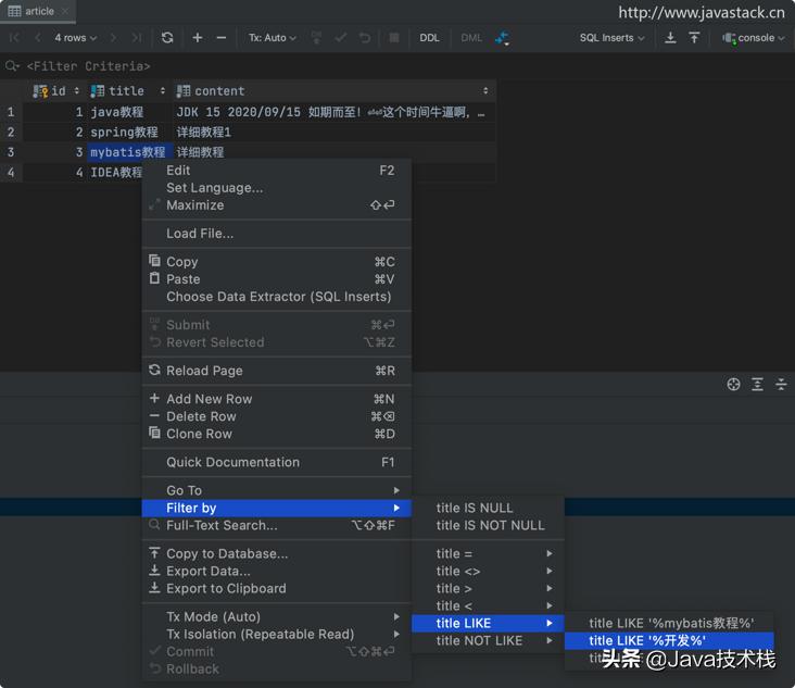 java mac ide