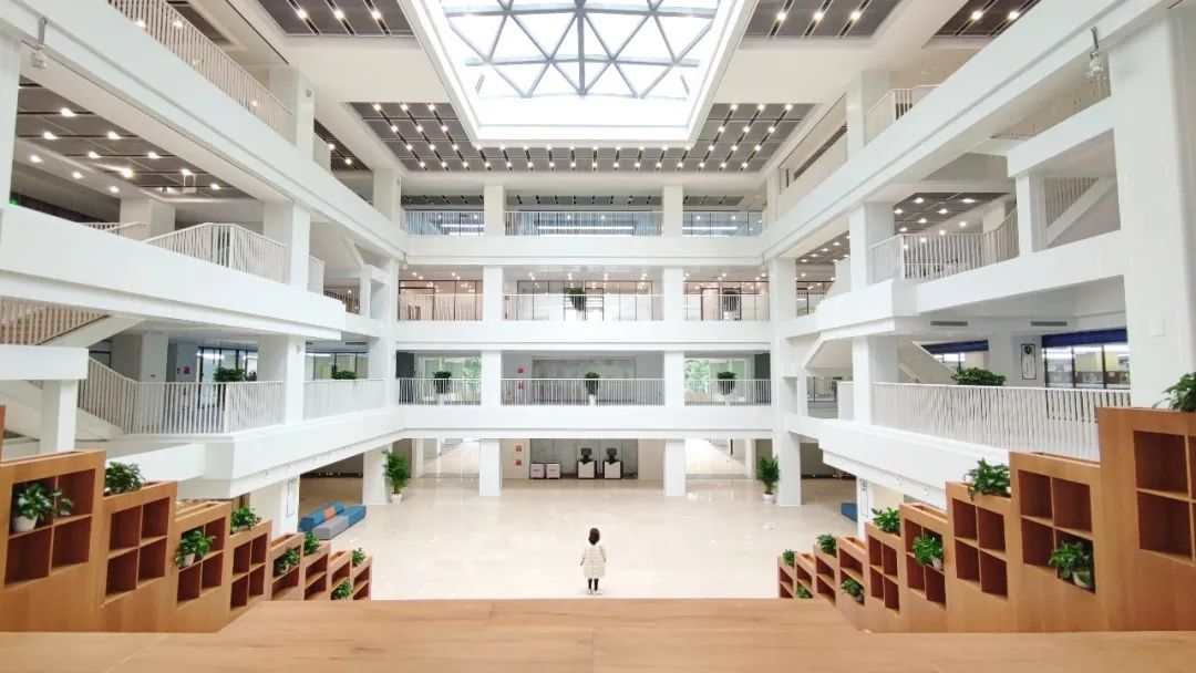 重庆医科大学的三本专业的代码