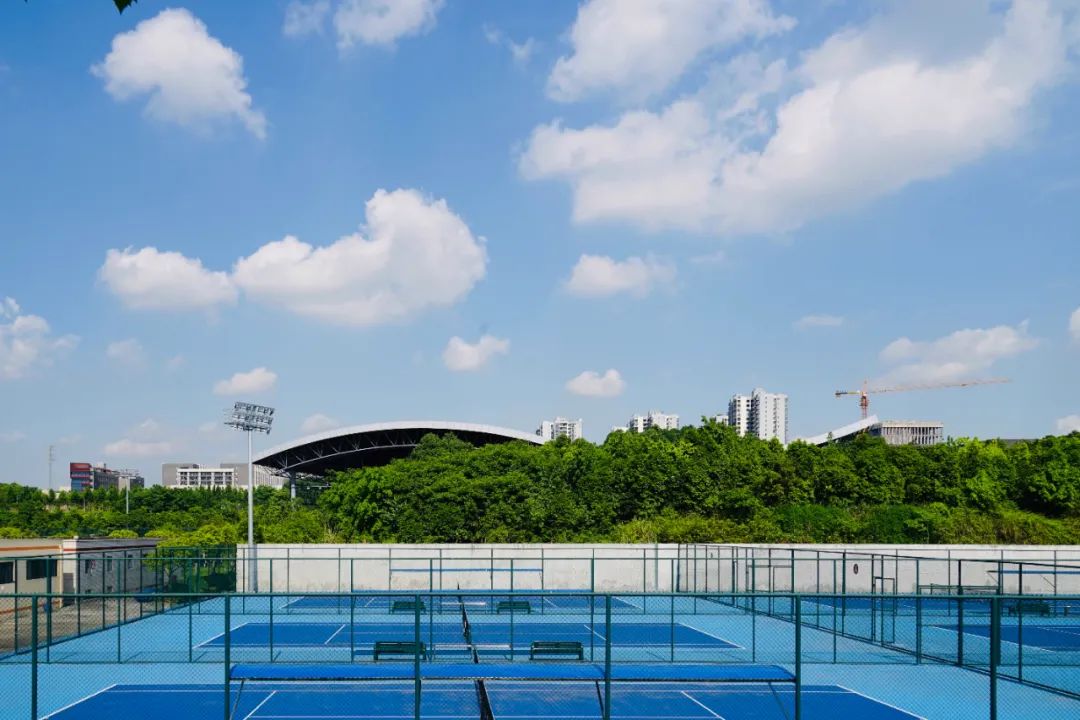 重庆医科大学的三本专业的代码