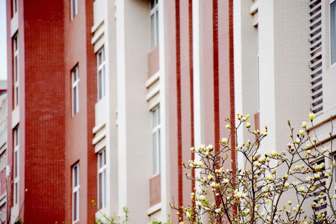 重庆医科大学的三本专业的代码