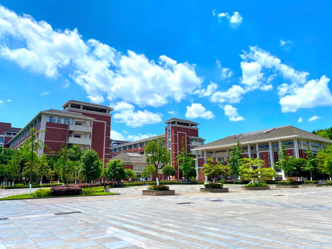 重庆医科大学的三本专业的代码