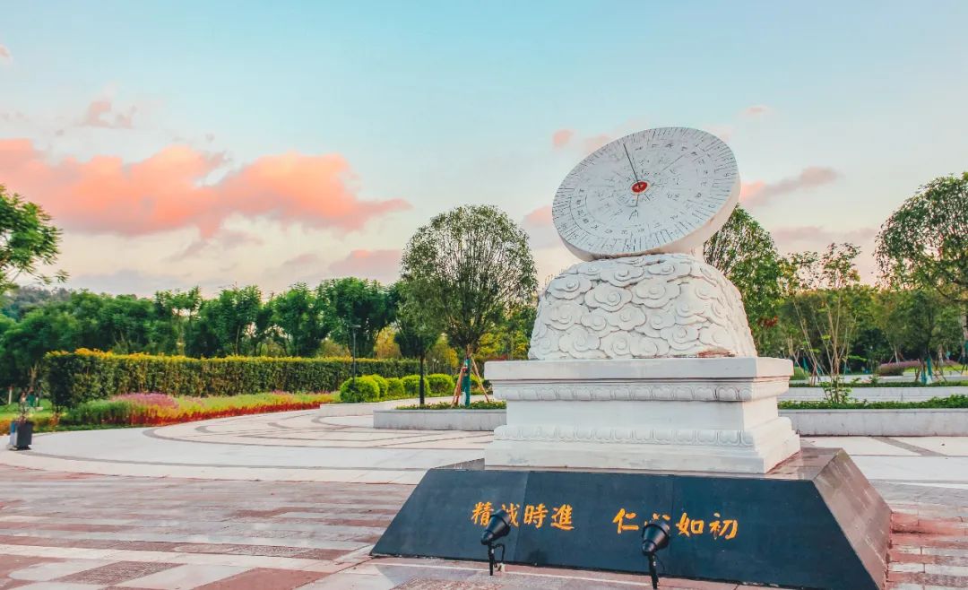 重庆医科大学的三本专业的代码