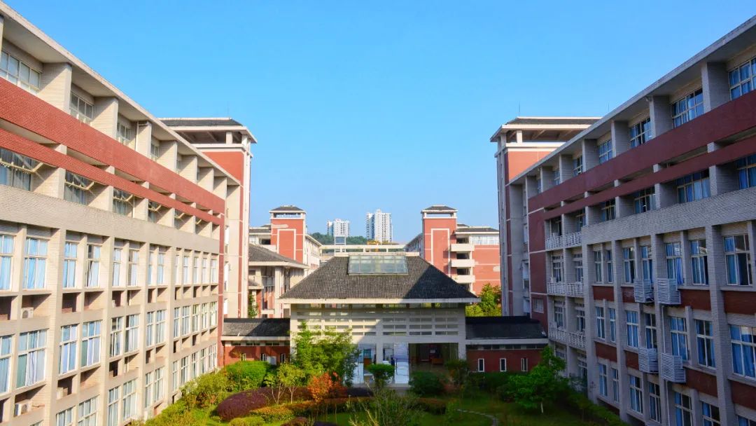 重庆医科大学的三本专业的代码