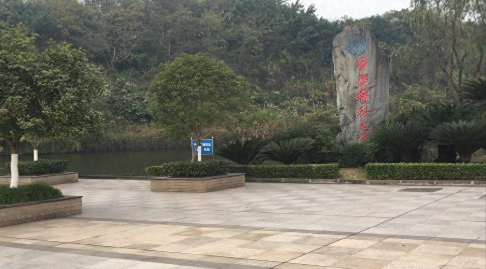 重庆医科大学2025招3790人，临床医学占三成，本地计划增加101人