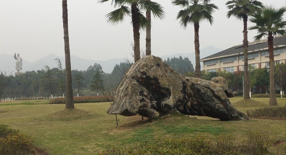 重庆医科大学的三本专业的代码