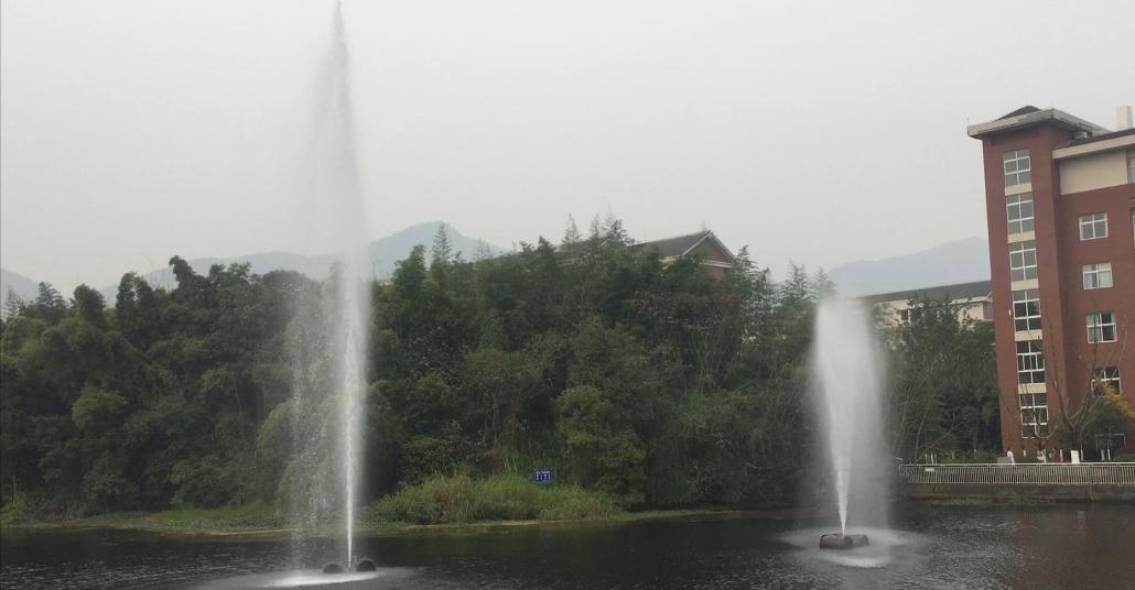 重庆医科大学的三本专业的代码