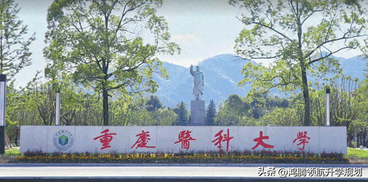 重庆医科大学2024年录取分数，一批次大涨