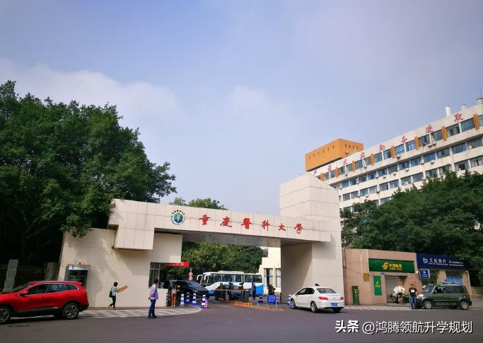 重庆医科大学的三本专业的代码