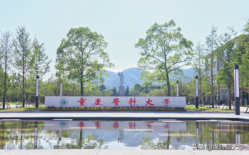 重庆医科大学的三本专业的代码