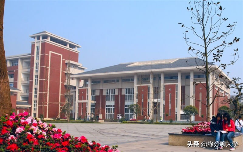 重庆医科大学的三本专业的代码
