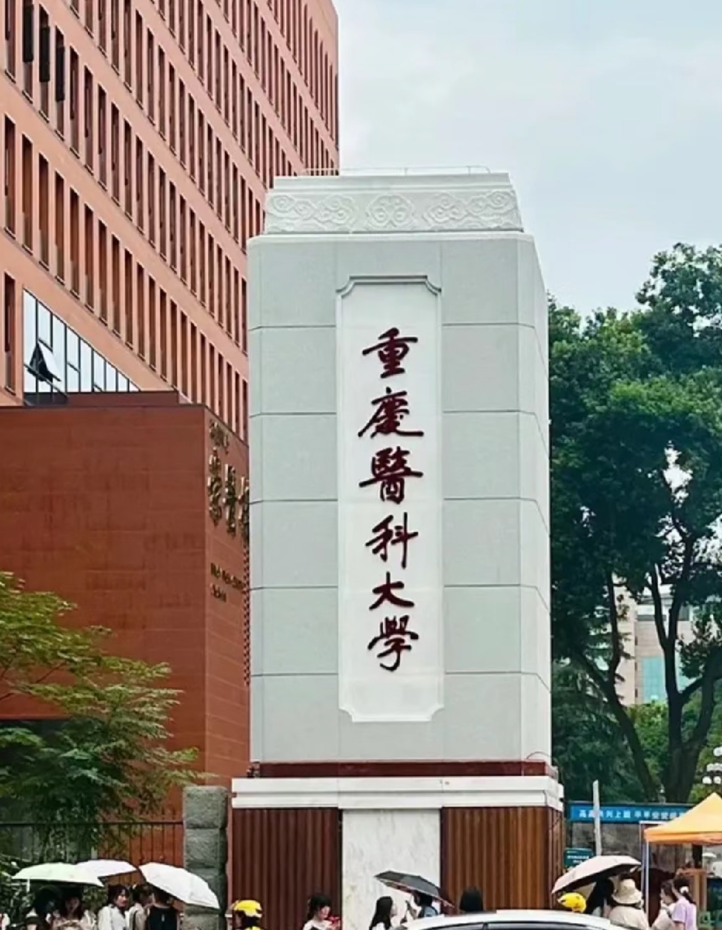 重庆医科大学的三本专业的代码