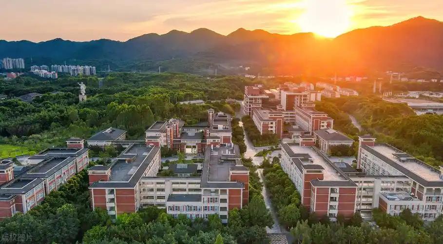 重庆医科大学的三本专业的代码