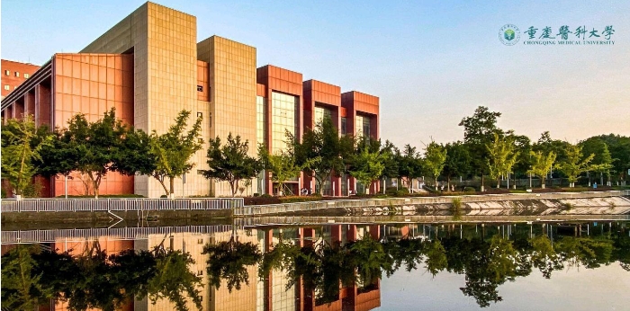 重庆医科大学的三本专业的代码