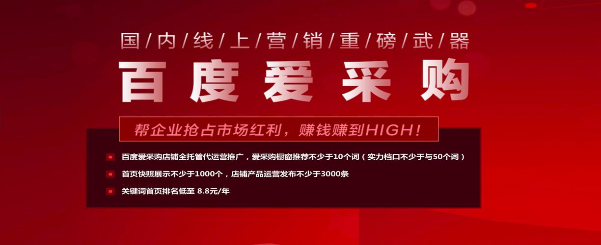 推广seo 站长创业真实经历分享：SEO+八字项目月入过万